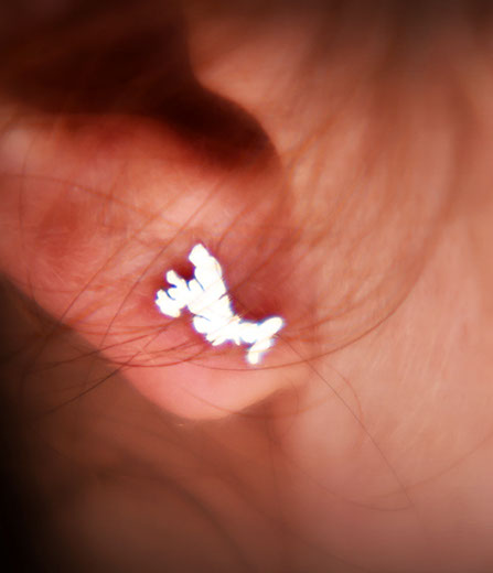 Luxury Earrings of the Isle of Skye by Skye Souvenirs