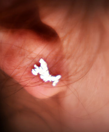 Luxury Earrings of the Isle of Skye by Skye Souvenirs