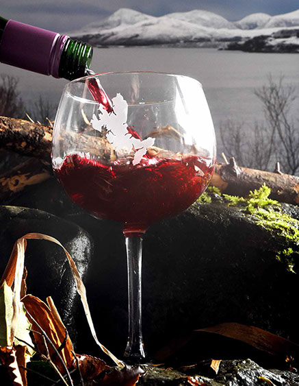 Gin Glass of the Isle of Skye by Skye Souvenirs